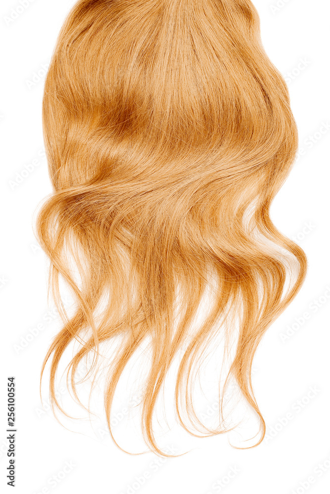 Fototapeta premium Long wavy blond hair isolated on white background