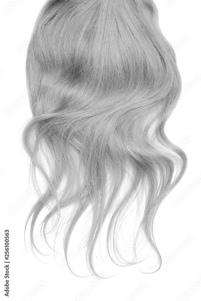 Fototapeta premium Long wavy gray hair isolated on white background