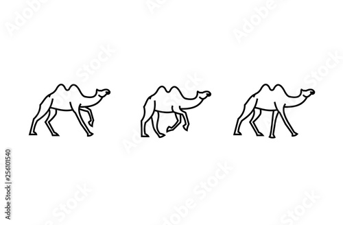 amel logo design template,vintage camel vector illustration photo
