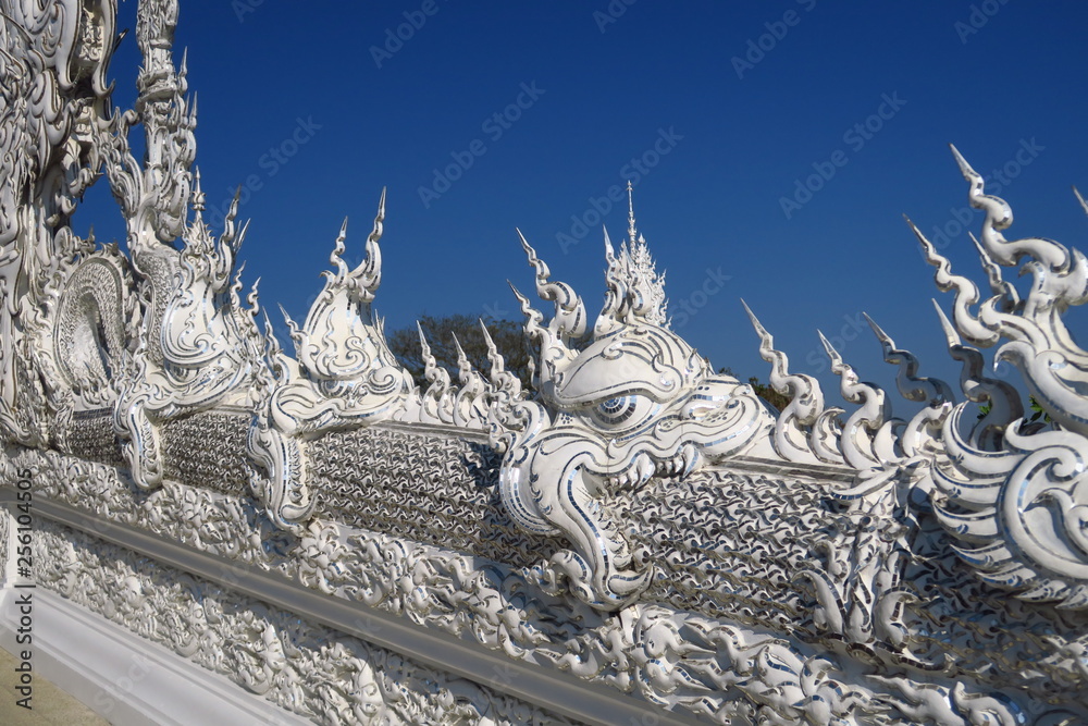 Fototapeta premium Dragons blancs