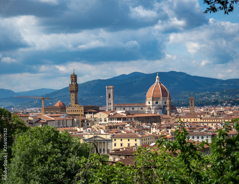 Fototapeta premium Vista de Florencia