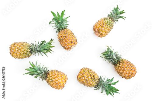 Pineapple fruits isolated on white background. Flat lay, top view. Food concept.