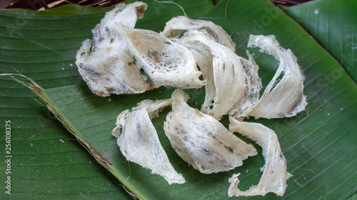 Close up of Edible or  swiftlet bird nest. photo