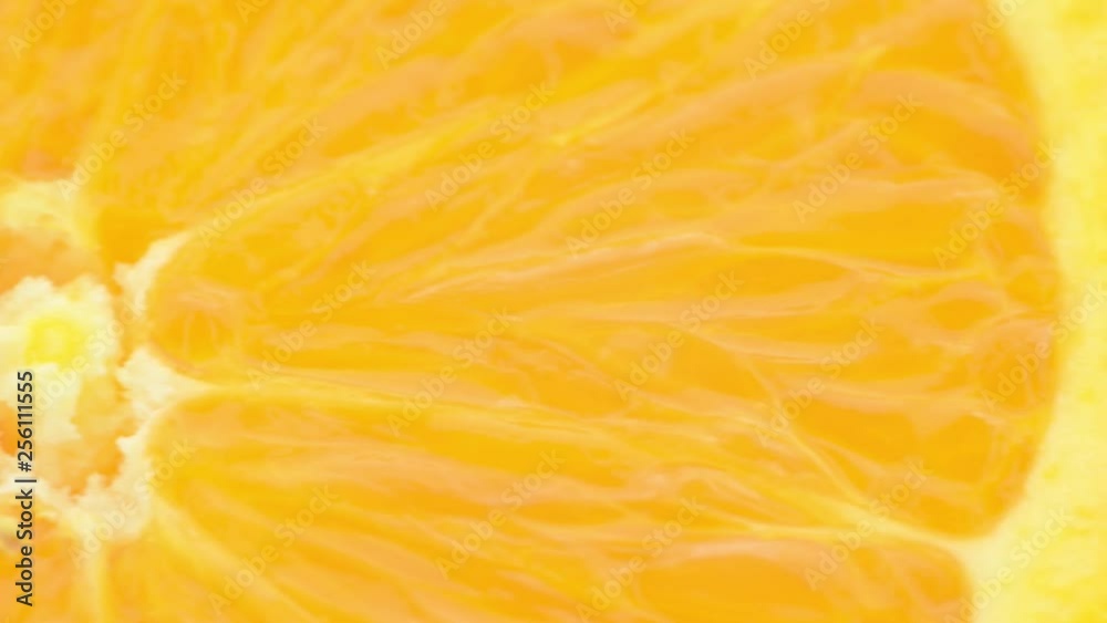 One orange half - extreme closeup pan with extreme detail - healthy organic orange fruit / fruit juice One orange half - extreme closeup pan with extreme detail - healthy organic orange fruit / fruit juice