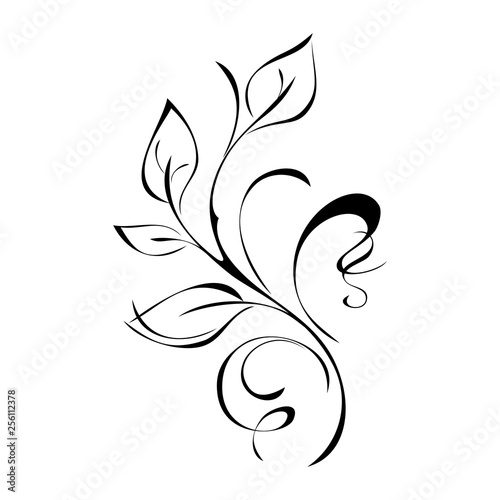 ornament in smooth black lines with leaves and curls on a white background