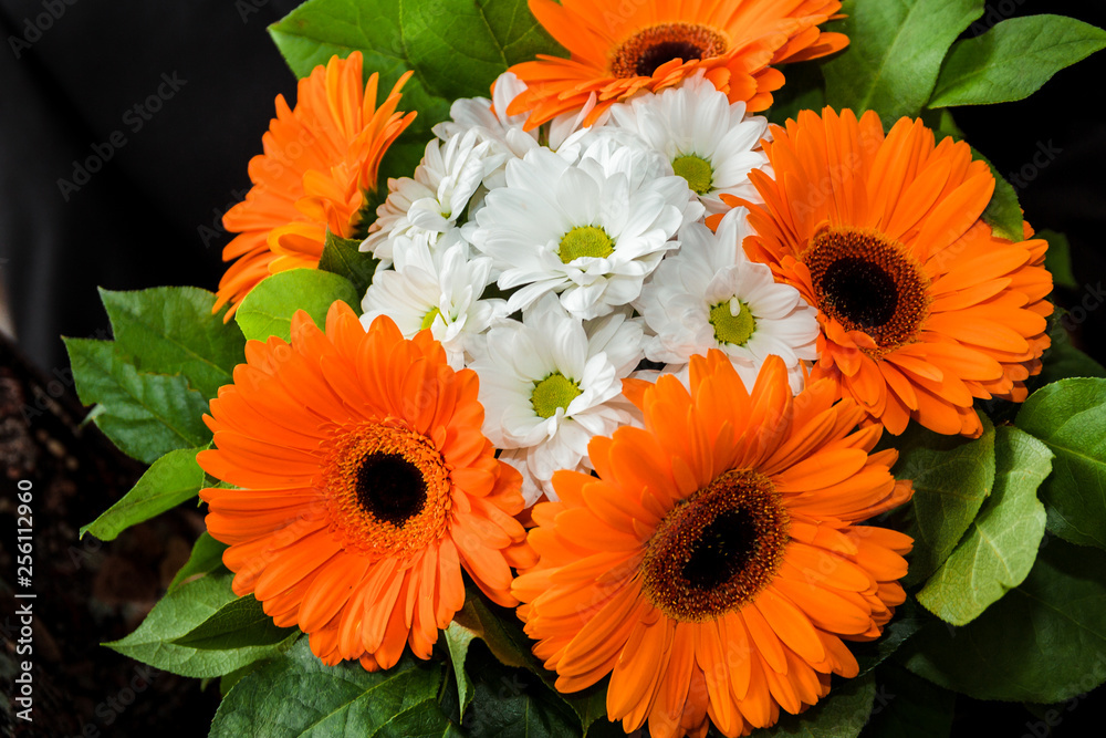 White daisies and orange gerberas White daisies and orange gerberas