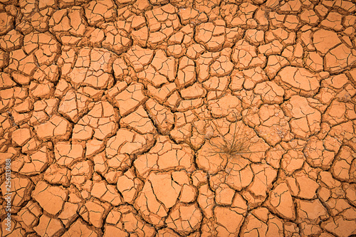 Crack earth/Crack soil on dry season/Global worming effect