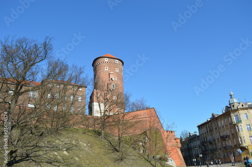 Kraków zamek królewski