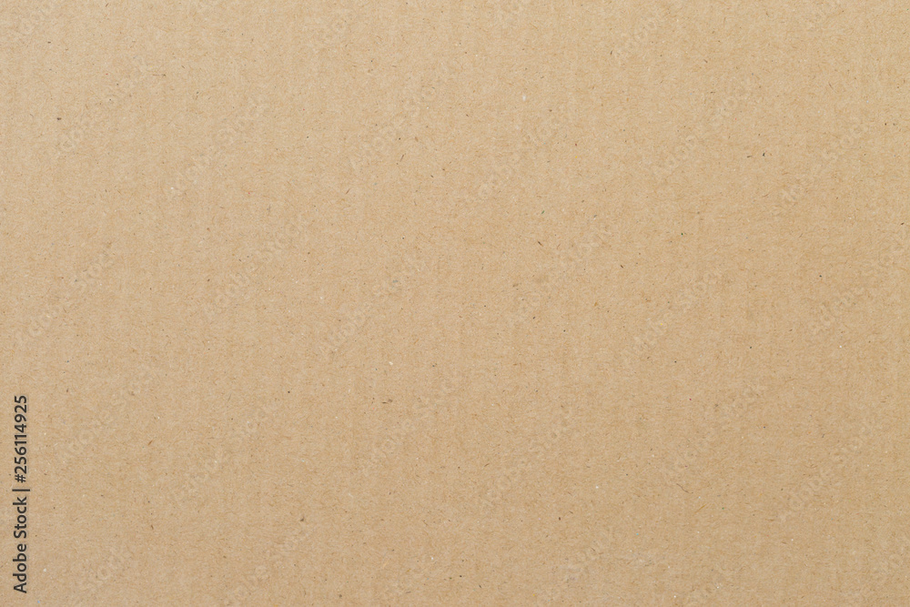 Texture Sheet of brown paper Texture Sheet of brown paper