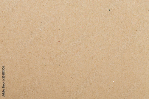 Texture Sheet of brown paper photo