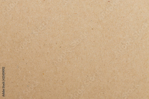 Texture Sheet of brown paper