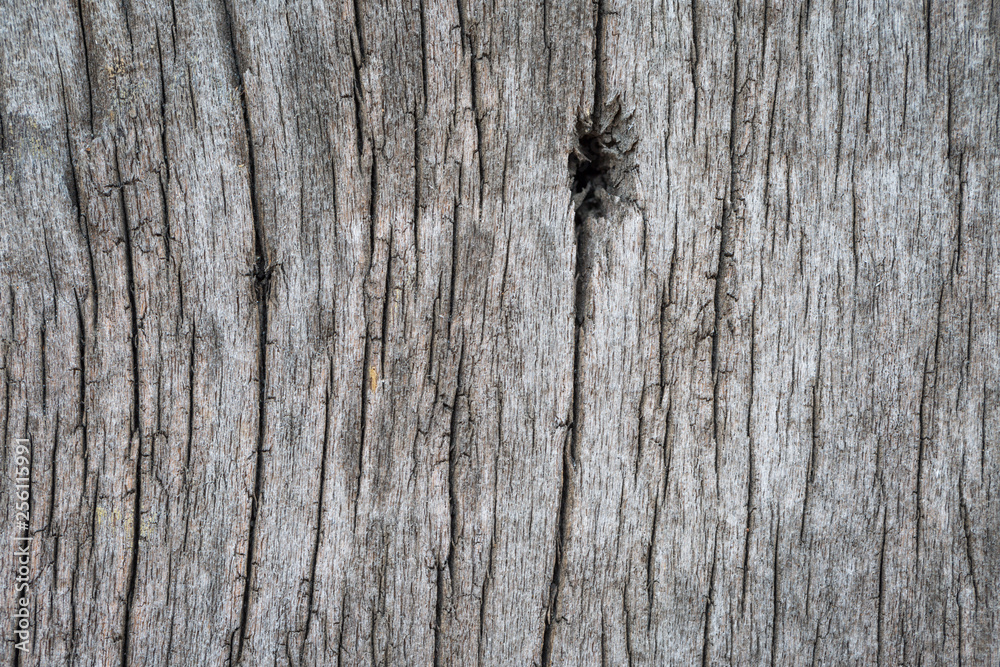 old wood texture old wood texture