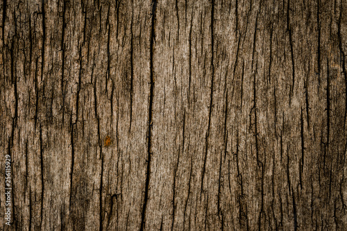 old wood texture © pandaclub23