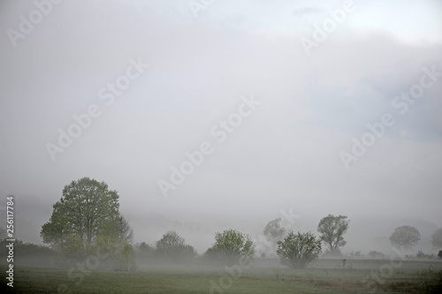 Kulturlandschaft im Morgennebel