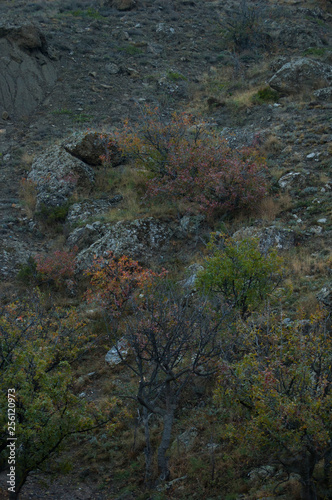 meganom, crimea photo