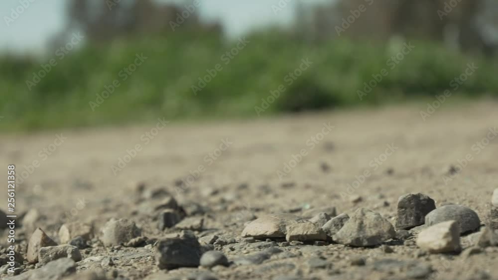 HD Slow Motion Nature Panning to Empty Water Bottle Littering Nature Outside Environment HD Slow Motion Nature Panning to Empty Water Bottle Littering Nature Outside Environment