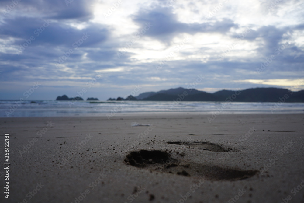footprints on the beach footprints on the beach