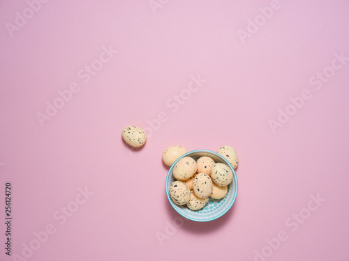 Exotic eggs on pastel backgrounds individually.