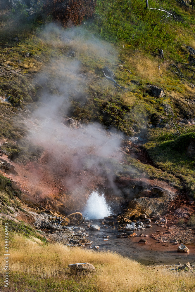 Small Geyser