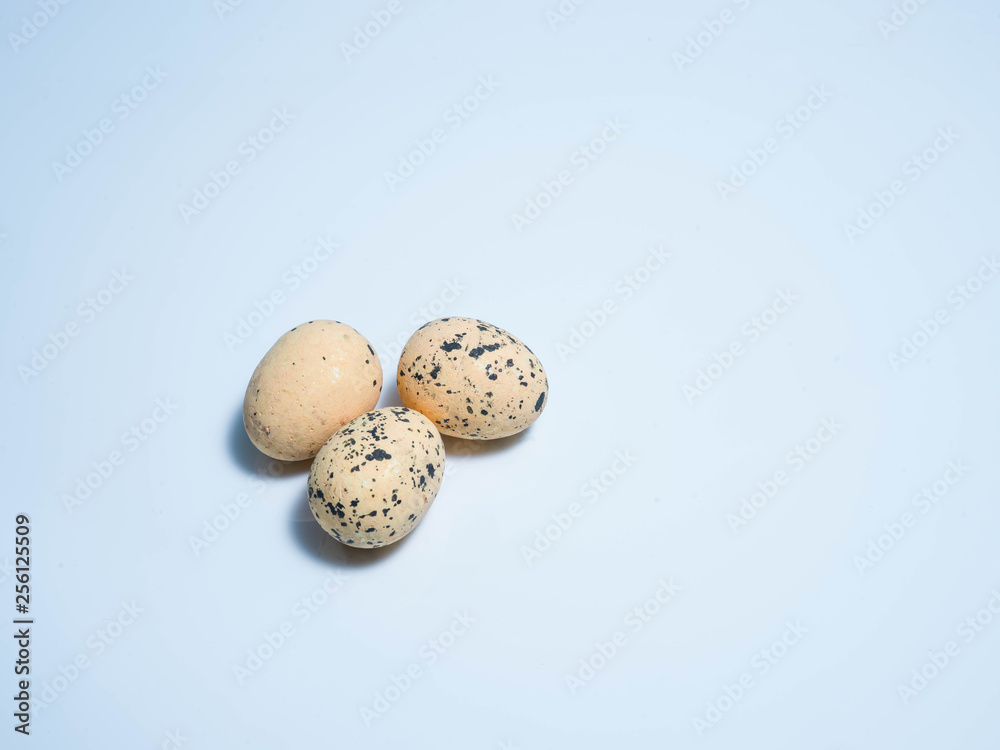 Obraz premium Exotic eggs on pastel backgrounds individually.
