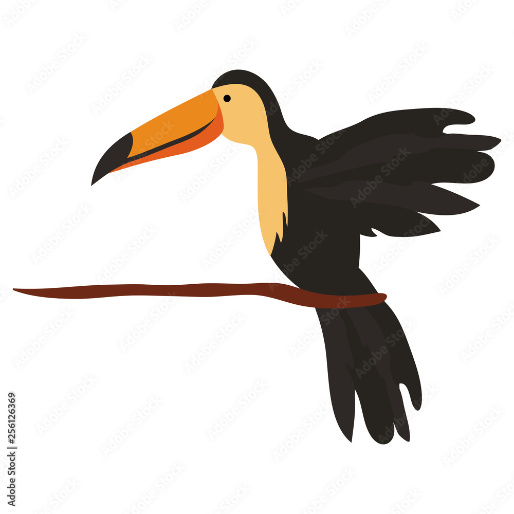 Obraz premium toucan exotic bird icon