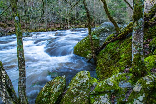 Smoky Mountain Rivers