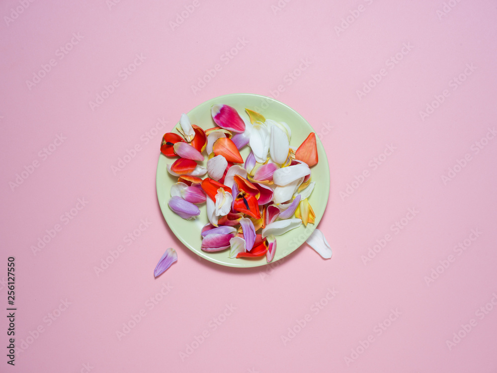 A green plate on a pink background with an Easter decoration.