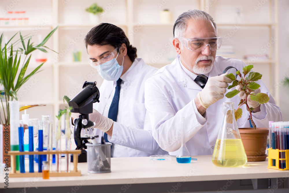 Two chemists working in the lab Two chemists working in the lab