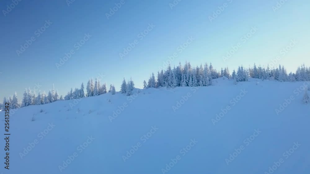 Flying over the Carpathians in the winter on sunny day. Trees and mountain range covered with snow. Beautiful landscape of the Carpathian mountains in winter. Aerial footage, 4K Flying over the Carpathians in the winter on sunny day. Trees and mountain range covered with snow. Beautiful landscape of the Carpathian mountains in winter. Aerial footage, 4K