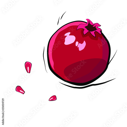 Painted pomegranate on a white background with seeds