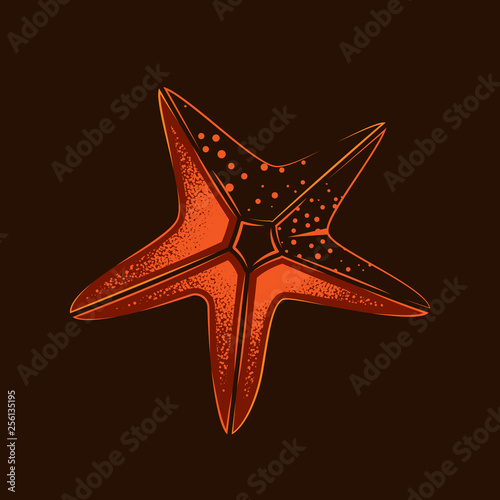 Starfish. Original vector illustration in vintage style. Design element.
