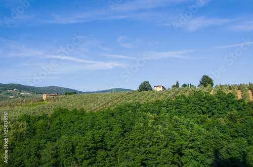 Tuscan countryside with vineyards, olive trees, woods, farms and town