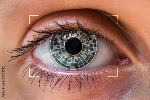 Eye scanning and recognition - biometric identification concept