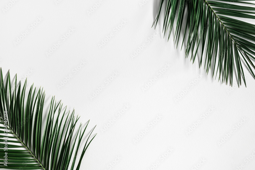 Fototapeta premium Summer composition. Tropical palm leaf on pastel gray background. Summer concept. Flat lay, top view, copy space
