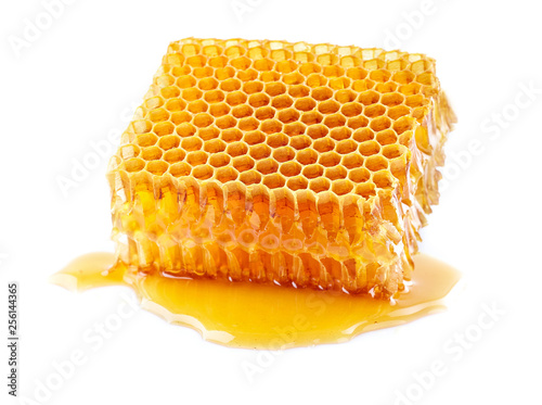 honeycomb isolated on white photo