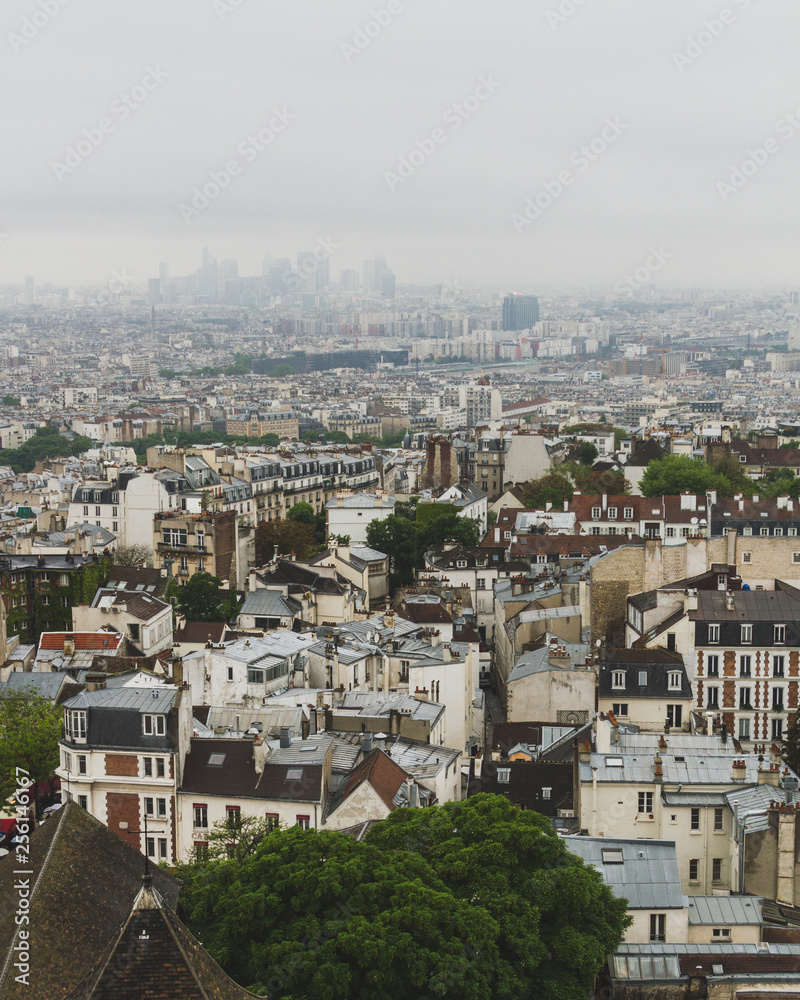 Buildings and skyline of Paris, France, viewed from top of the Sacre-coeur in Montmartre