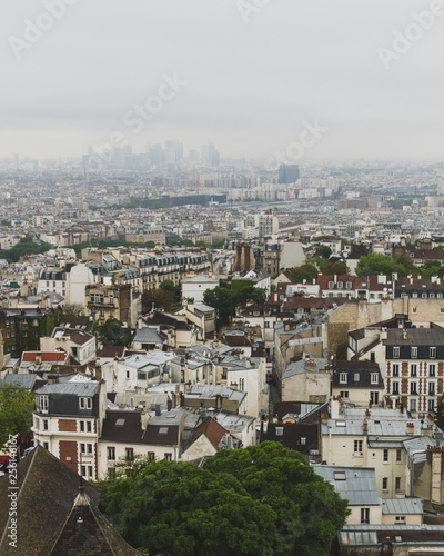 Buildings and skyline of Paris, France, viewed from top of the Sacre-coeur in Montmartre