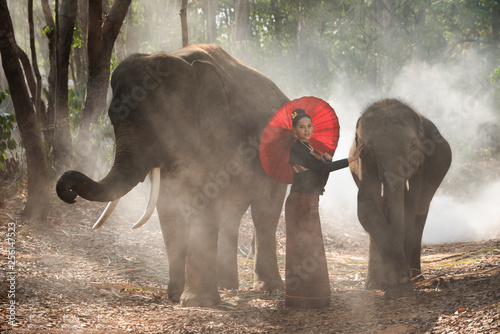Canvas Print Thai Beautiful girl with elephants