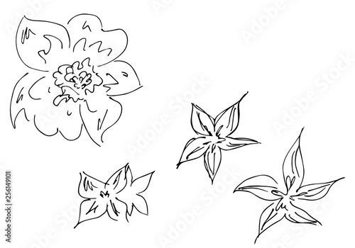 Hand Drawn Vector Illustrations Of Abstract Set of Flowers Isolated on White. Hand Drawn Sketch of a Flowers