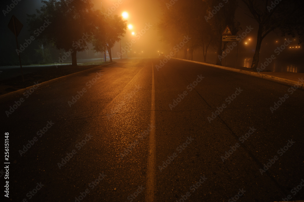 Night cityscape in the fog
