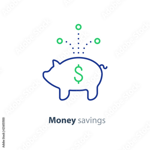 Financial investment, piggy bank money, future savings, budget fund