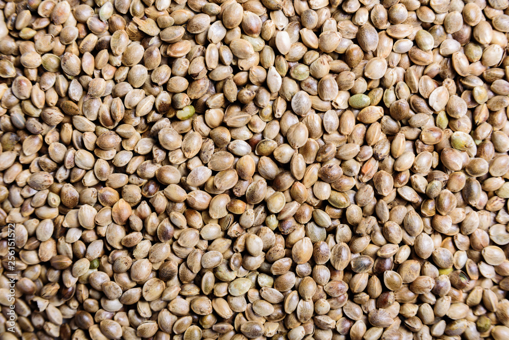 Hemp seeds Hemp seeds