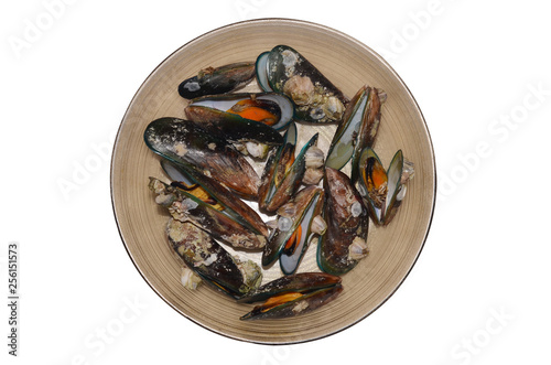 Green mussel seashell in dish isolated, Top view