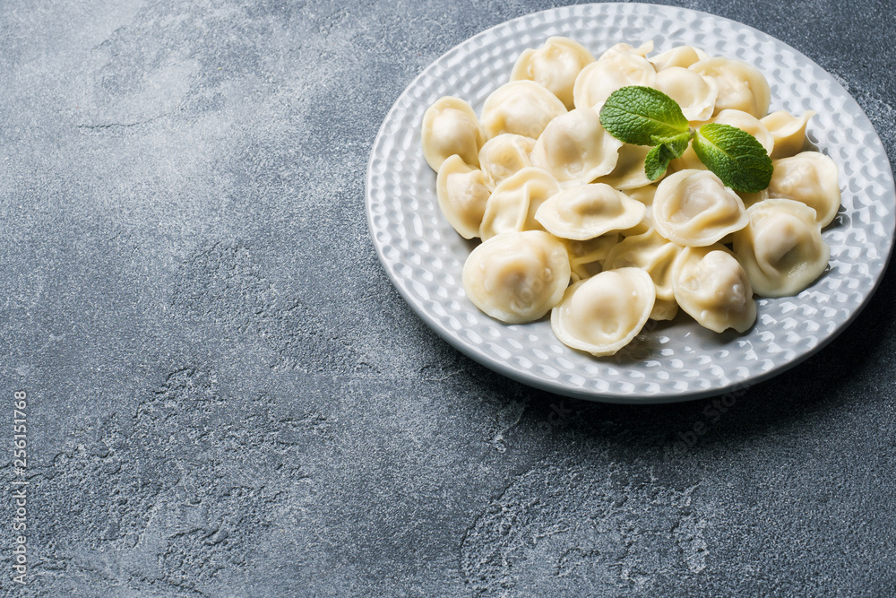 Dumplings stuffed with meat, ravioli, dumplings. Dumplings with stuffing. Russian cuisine. Copy space. Dumplings stuffed with meat, ravioli, dumplings. Dumplings with stuffing. Russian cuisine. Copy space.