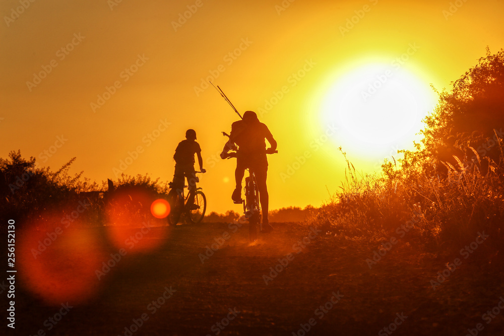 Silhouette of mountain bikers