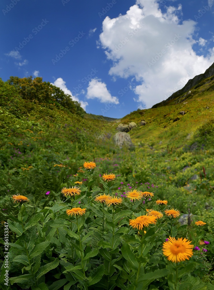 Obraz premium amazing landscape photos.artvin/turkey/savsat