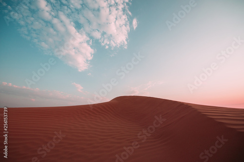 Desert with sand dunes and red sand dunes