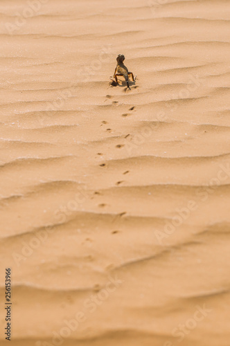 The lizard runs through the desert and leaves traces in the sand. photo