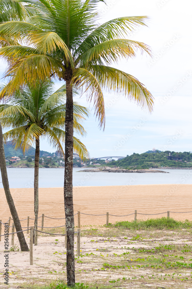 The lovely seafront and main beach of the city of Vitoria in the Espirito Santo state in Brazil. Some characteristic palm trees in the foreground The lovely seafront and main beach of the city of Vitoria in the Espirito Santo state in Brazil. Some characteristic palm trees in the foreground