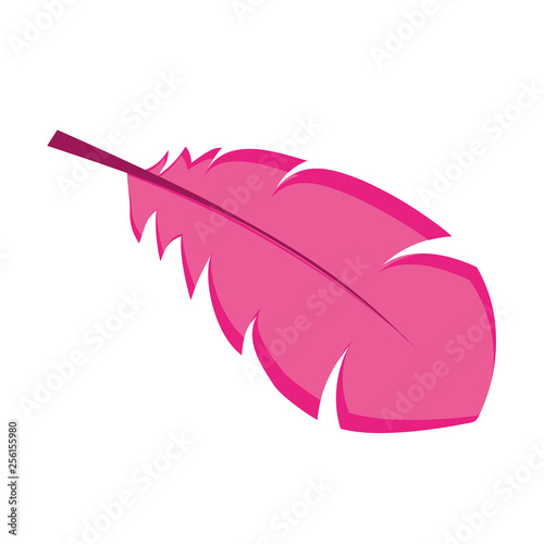 feather exotic isolated icon